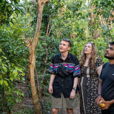 Spice Garden