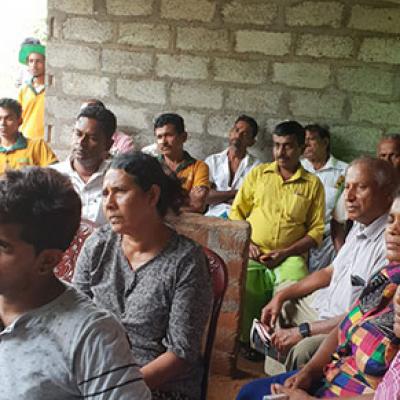 Awareness On Cinnamon Cultivation